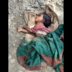 दो बच्चों को आवारा कुत्तों ने नोचा, एक की मौत