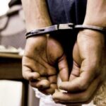 जम्मू से दिल्ली जा रहे सेब से लदे ट्रक को जब पुलिस ने रोक कर ली तलाशी तो रह गई हैरान