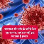 40 फीसद यात्राओं पर कोरोना वायरस का ग्रहण