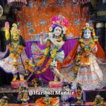 भगवान श्री जगन्नाथ जी के 21 दिवसीय चन्दन यात्रा महोत्सव में बह रही धर्मरूपी गंगा